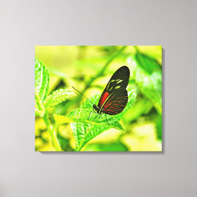 Stretched Canvas Print Leinwanddruck (Vorderseite)