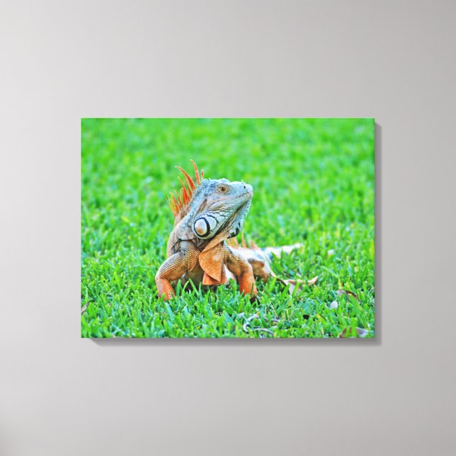 Stretched Canvas Print Leinwanddruck (Vorderseite)