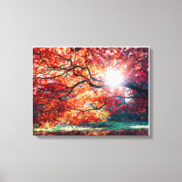Stretched Canvas Print Leinwanddruck