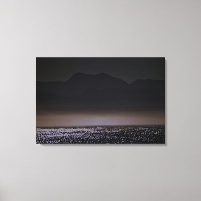Stretched Canvas Print Leinwanddruck (Vorderseite)