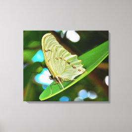 Stretched Canvas Print Leinwanddruck