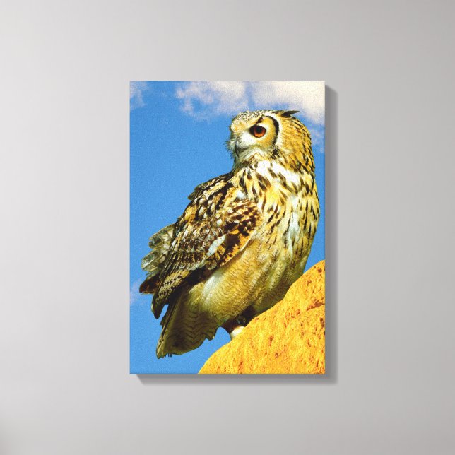 Stretched Canvas Print Leinwanddruck (Vorderseite)
