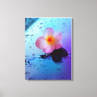 Stretched Canvas Print Leinwanddruck