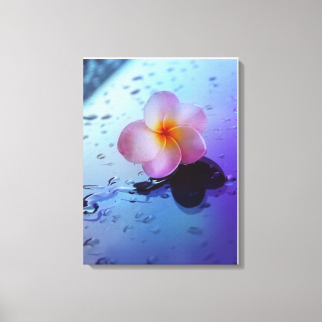 Stretched Canvas Print Leinwanddruck (Vorderseite)