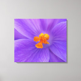 Stretched Canvas Print Leinwanddruck