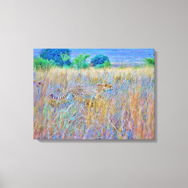Stretched Canvas Print Leinwanddruck (Vorderseite)