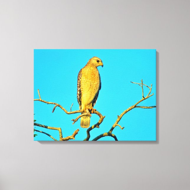 Stretched Canvas Print Leinwanddruck (Vorderseite)