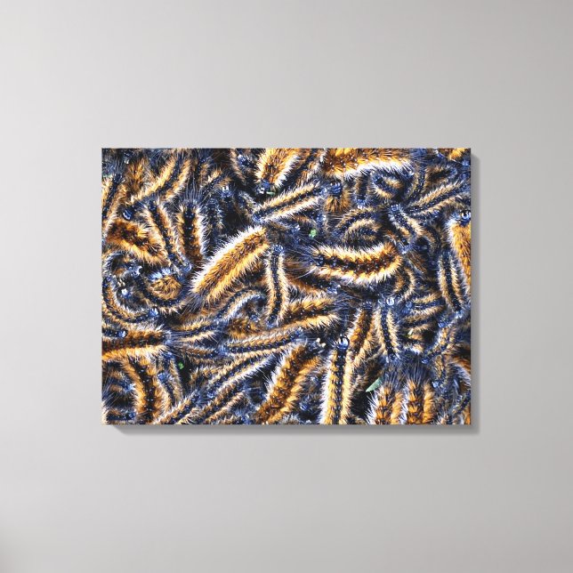 Stretched Canvas Print Leinwanddruck (Vorderseite)