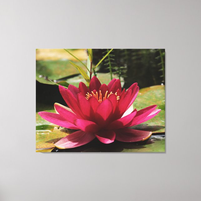 Stretched Canvas Print Leinwanddruck (Vorderseite)