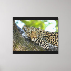 Stretched Canvas Print Leinwanddruck