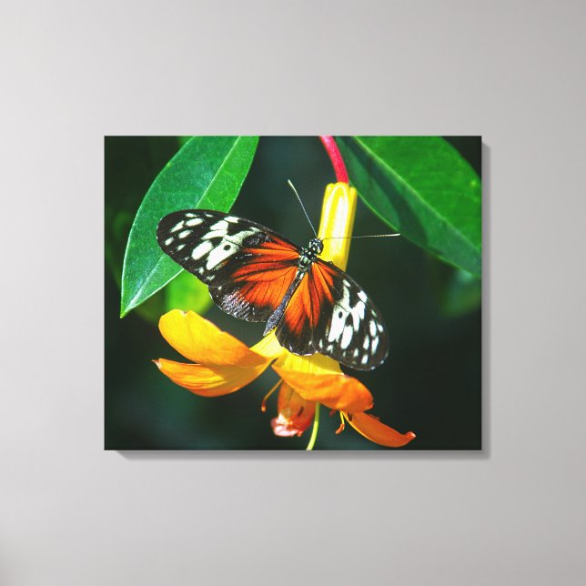 Stretched Canvas Print Leinwanddruck (Vorderseite)