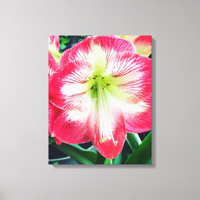 Stretched Canvas Print Leinwanddruck (Vorderseite)