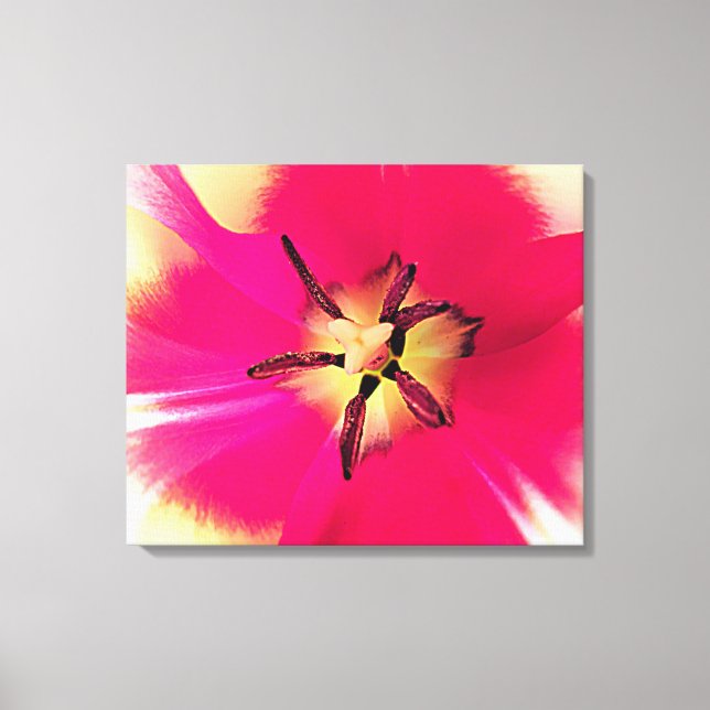 Stretched Canvas Print Leinwanddruck (Vorderseite)