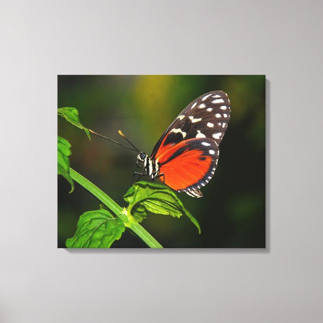 Stretched Canvas Print Leinwanddruck (Vorderseite)