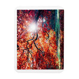 Stretched Canvas Print Magnet
