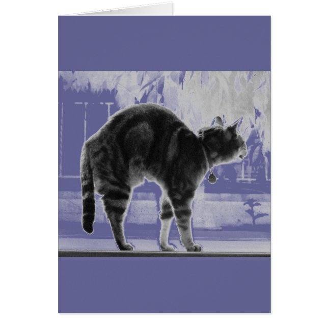 Stretching-Indigostift (Vorne)