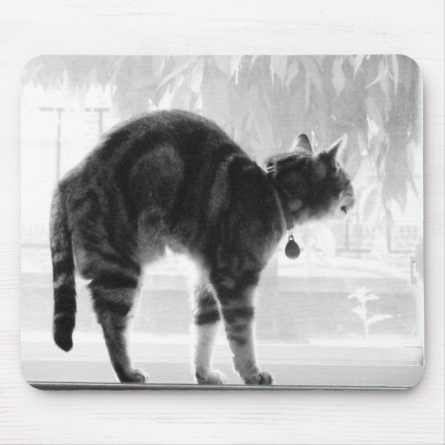 Stretching-Indigostift Mousepad (Vorne)