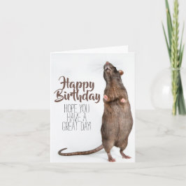 Stretchy Rat Birthday Card Karte