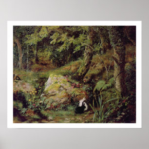 Streukaninchen Poster