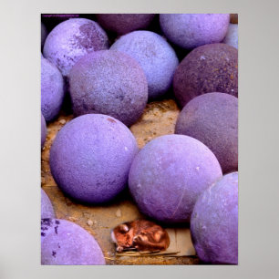 streunende Katze in den Kanonenbällen Poster