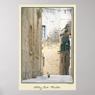 Streunende Katze - Malta Poster