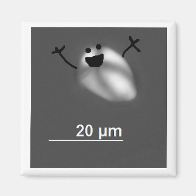 Strich! Magnet (Vorne)