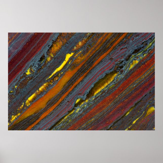 Strickaustralisches Tiger Eye Poster (Vorne)