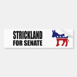 STRICKLAND 2010 AUTOAUFKLEBER