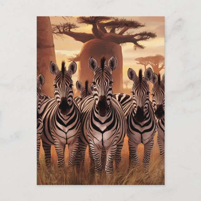 Strickte Einheit: Zebras Stehend zusammen Postkarte (Vorderseite)