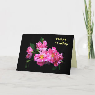 Strickte Rose Geburtstag Karte