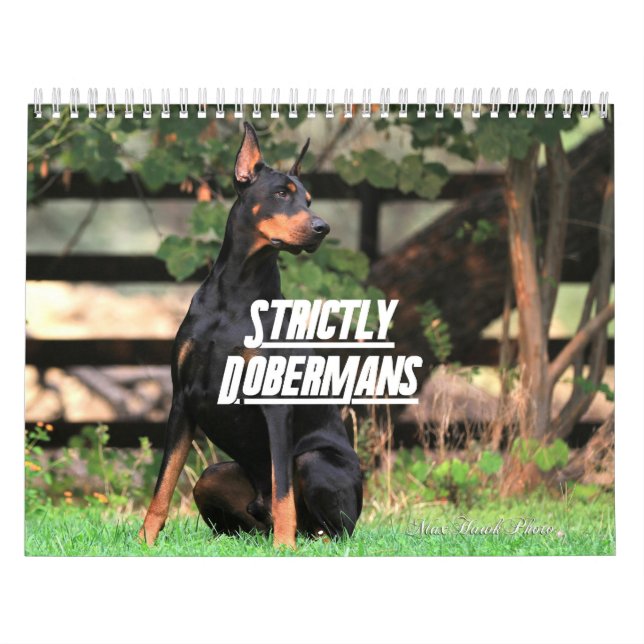 Strictly Dobermans Kalender 2026 (Titelbild)