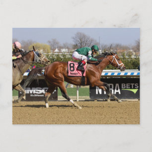 Stride for Stride Postkarte