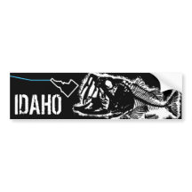 STRIKING IDAHO - EINE SCHLECHTE BASIS