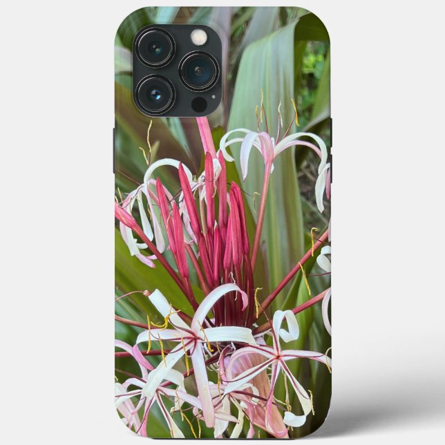 Striking iPhone Case with Spider Lily (Rückseite)
