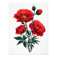 Striking Red Poppies