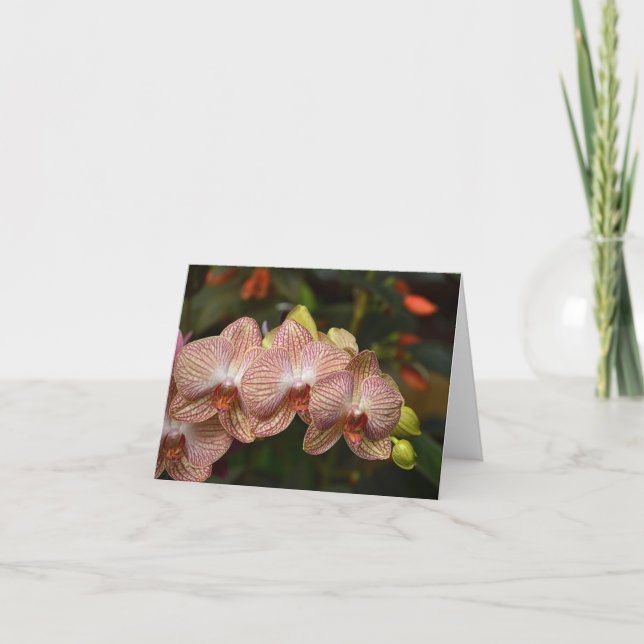 Strikte Zeichenfolge der Orchids-Note Karte (Vorderseite)