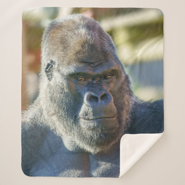 Striktes Silverback Fleece Blanket Sherpadecke (Vorderseite)