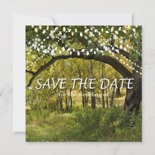 String-Leuchten, Fireflies Save the Date-Karte Date