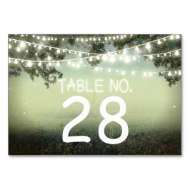 String lights Wedding Tischnummer Card Platzkarte