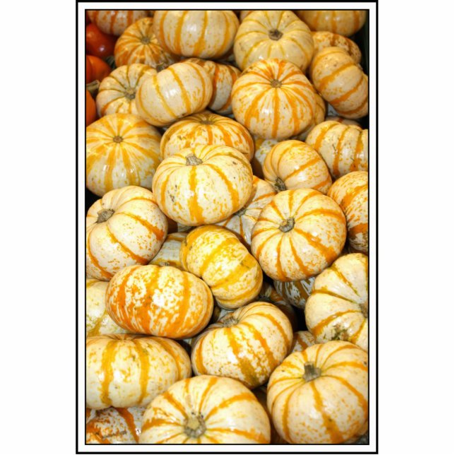 Strip White Mini Pumpkins Freistehende Fotoskulptur (Vorne)