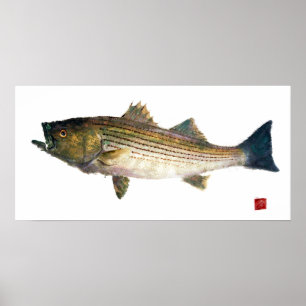 Striped Bass Gyotauku Poster