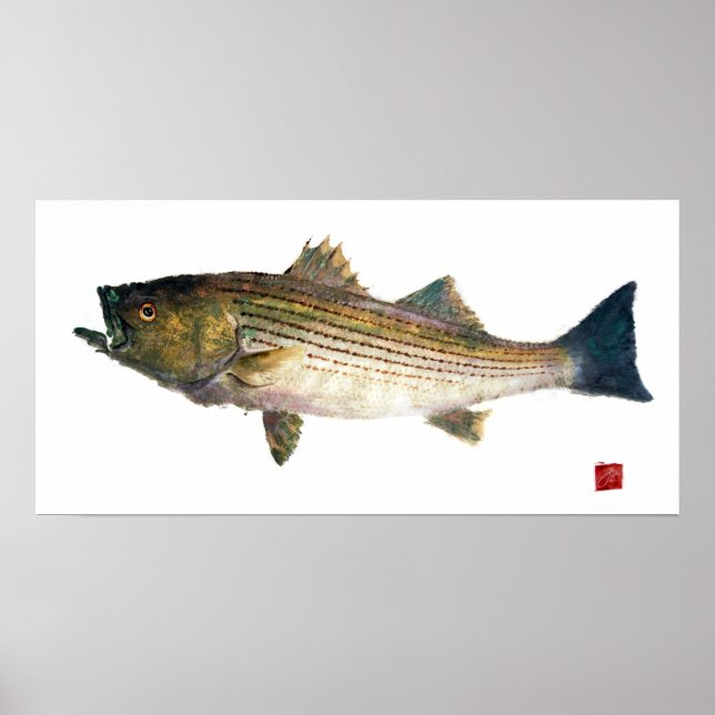 Striped Bass Gyotauku Poster (Vorne)