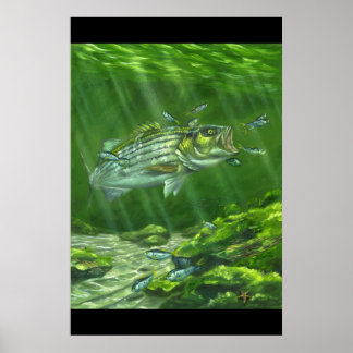 "Striped Bass on the Rocks" Poster