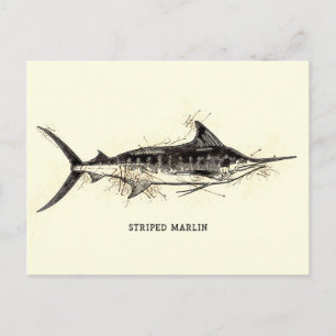 Striped Marlin Vintag Illustration Sketch Artwork Postkarte
