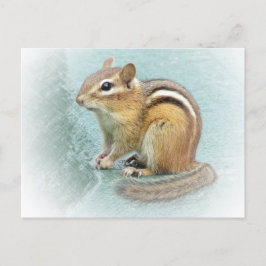 Strippte Süsse - Chipmunk Postkarte