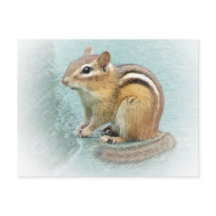 Strippte Süsse - Chipmunk