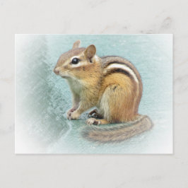 Strippte Süsse - Chipmunk Postkarte