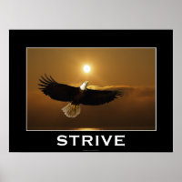 STRIVE ~ Motivierend Plakat "Flying Bald"