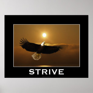 STRIVE ~ Motivierend Plakat "Flying Bald"