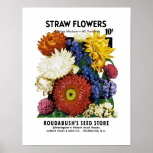 Stroh-Blumen-Samen-Paket-Aufkleber Poster